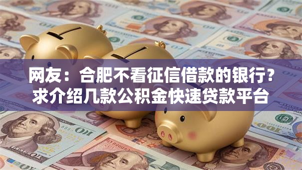 网友:合肥不看征信借款的银行?求介绍几款公积金快速贷款平台 网友:合肥不看征信借款的银行?求介绍几款公积金快速贷款平台