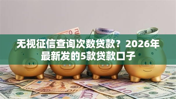 无视征信查询次数贷款？2026年最新发的5款贷款口子