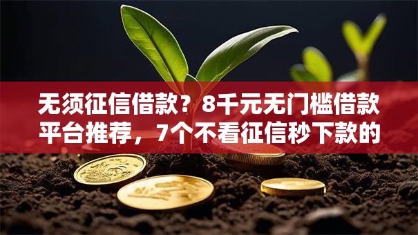 无须征信借款？8千元无门槛借款平台推荐，7个不看征信秒下款的平台盘点