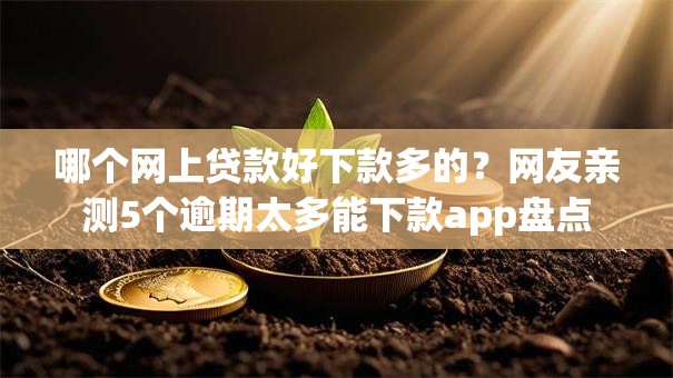 哪个网上贷款好下款多的？网友亲测5个逾期太多能下款app盘点