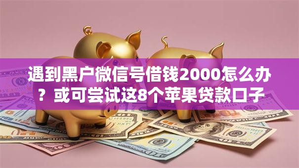 遇到黑户微信号借钱2000怎么办？或可尝试这8个苹果贷款口子