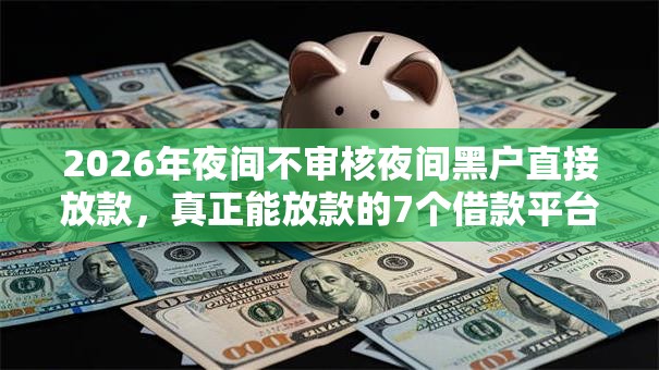 2026年夜间不审核夜间黑户直接放款，真正能放款的7个借款平台可以贷款20万推荐