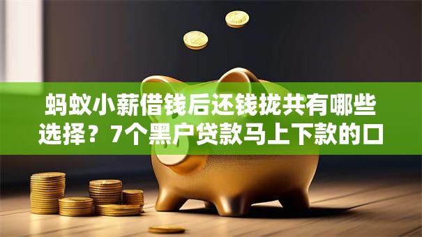 蚂蚁小薪借钱后还钱拢共有哪些选择？7个黑户贷款马上下款的口子详解