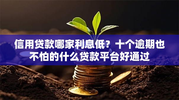 信用贷款哪家利息低？十个逾期也不怕的什么贷款平台好通过