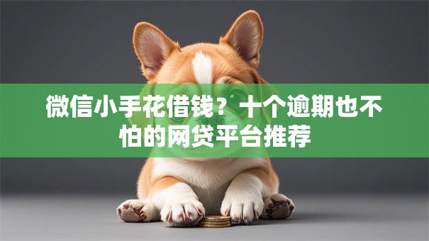 微信小手花借钱？十个逾期也不怕的网贷平台推荐
