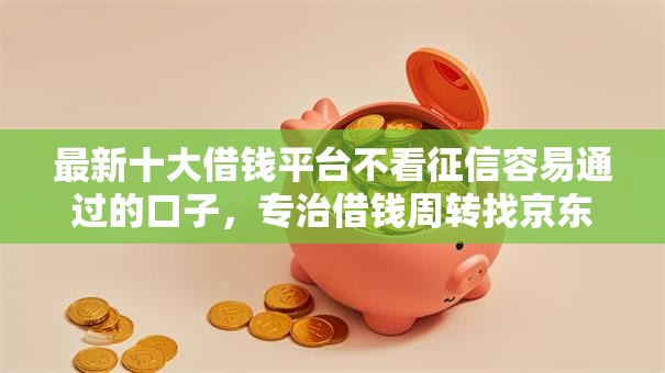 最新十大借钱平台不看征信容易通过的口子，专治借钱周转找京东