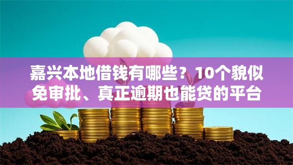嘉兴本地借钱有哪些?10个貌似免审批、真正逾期也能贷的平台合集 嘉兴本地借钱有哪些?10个貌似免审批、真正逾期也能贷的平台合集