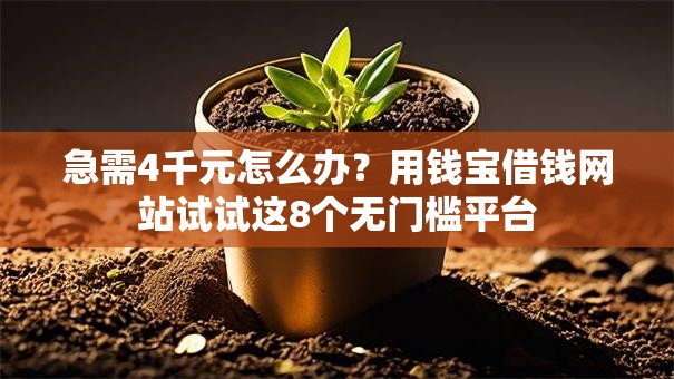 急需4千元怎么办？用钱宝借钱网站试试这8个无门槛平台