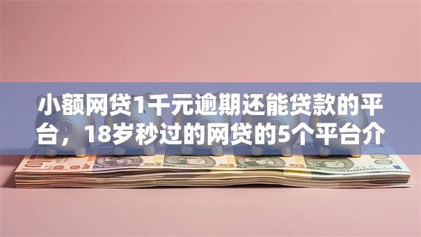 小额网贷1千元逾期还能贷款的平台，18岁秒过的网贷的5个平台介绍