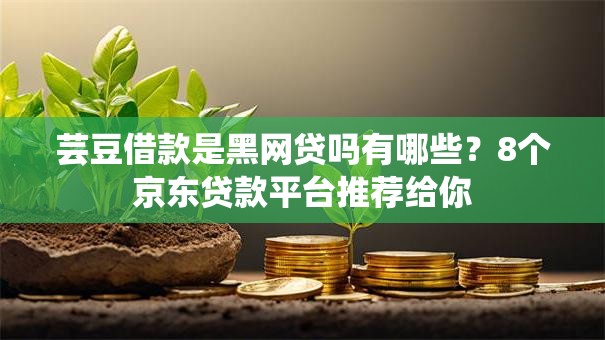芸豆借款是黑网贷吗有哪些？8个京东贷款平台推荐给你