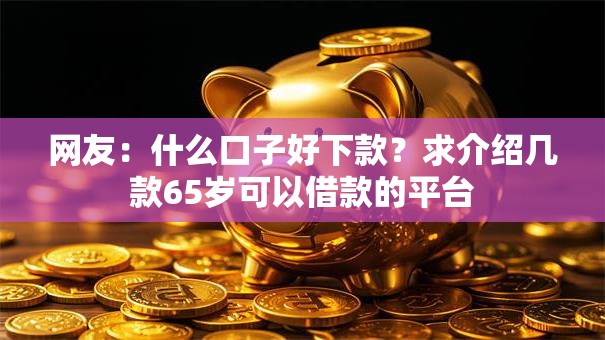 网友:什么口子好下款?求介绍几款65岁可以借款的平台 网友:什么口子好下款?求介绍几款65岁可以借款的平台