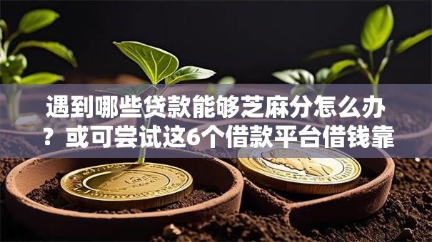 遇到哪些贷款能够芝麻分怎么办？或可尝试这6个借款平台借钱靠谱