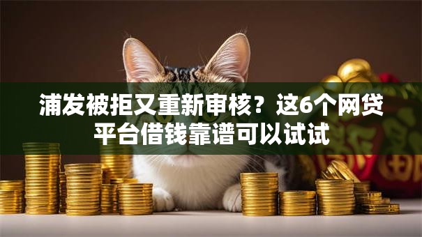 浦发被拒又重新审核？这6个网贷平台借钱靠谱可以试试