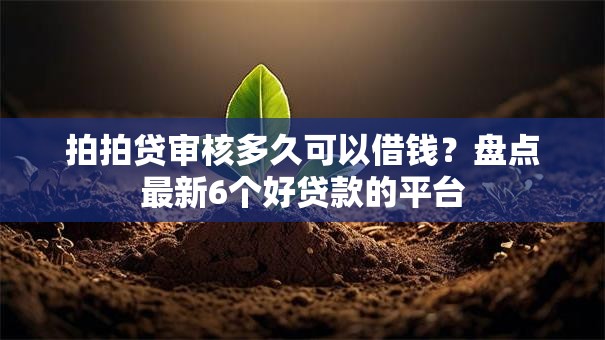 拍拍贷审核多久可以借钱?盘点最新6个好贷款的平台 拍拍贷审核多久可以借钱?盘点最新6个好贷款的平台