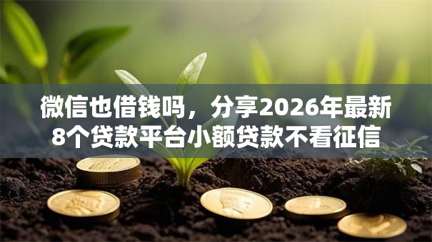 微信也借钱吗，分享2026年最新8个贷款平台小额贷款不看征信