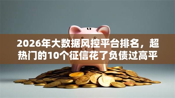 2026年大数据风控平台排名,超热门的10个征信花了负债过高平台可以贷款推荐 2026年大数据风控平台排名,超热门的10个征信花了负债过高平台可以贷款推荐