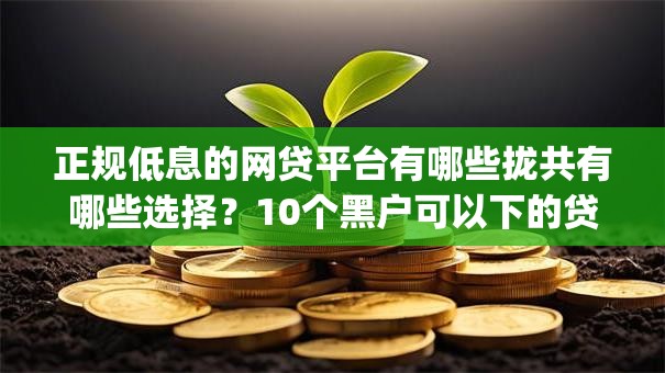 正规低息的网贷平台有哪些拢共有哪些选择？10个黑户可以下的贷款app详解