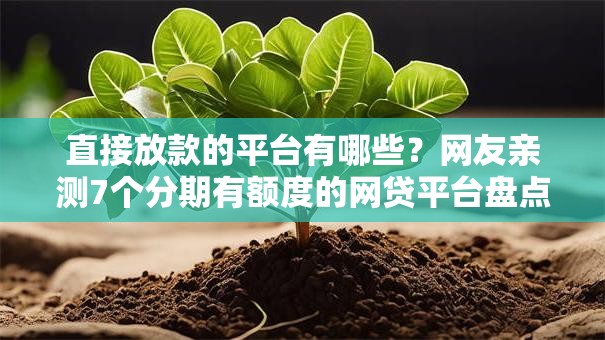 直接放款的平台有哪些？网友亲测7个分期有额度的网贷平台盘点