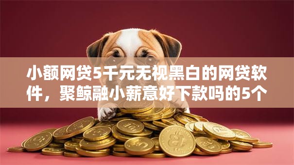 小额网贷5千元无视黑白的网贷软件,聚鲸融小薪意好下款吗的5个平台介绍 小额网贷5千元无视黑白的网贷软件,聚鲸融小薪意好下款吗的5个平台介绍