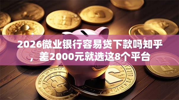 2026微业银行容易贷下款吗知乎,差2000元就选这8个平台 2026微业银行容易贷下款吗知乎,差2000元就选这8个平台