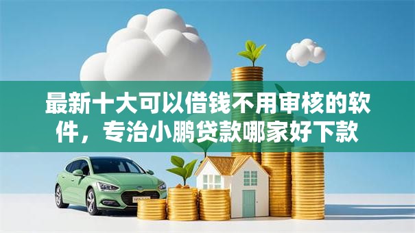 最新十大可以借钱不用审核的软件，专治小鹏贷款哪家好下款