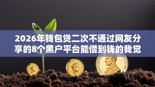 2026年钱包贷二次不通过网友分享的8个黑户平台能借到钱的我觉得不错！