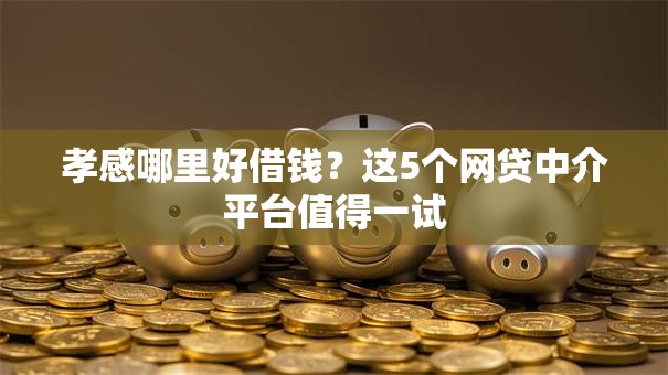 孝感哪里好借钱？这5个网贷中介平台值得一试