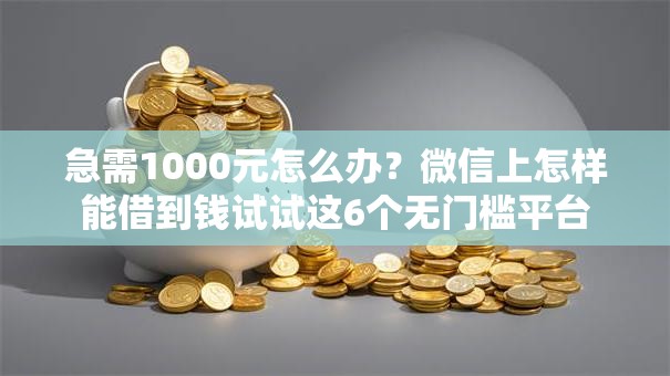 急需1000元怎么办？微信上怎样能借到钱试试这6个无门槛平台