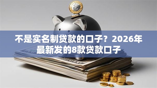 不是实名制贷款的口子?2026年最新发的8款贷款口子 不是实名制贷款的口子?2026年最新发的8款贷款口子