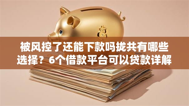 被风控了还能下款吗拢共有哪些选择？6个借款平台可以贷款详解