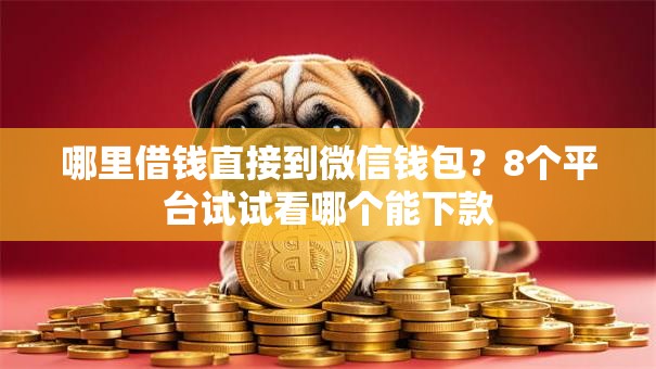哪里借钱直接到微信钱包？8个平台试试看哪个能下款