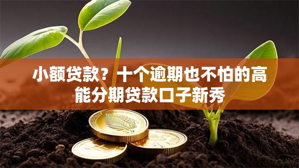 小额贷款？十个逾期也不怕的高能分期贷款口子新秀
