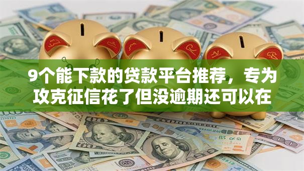9个能下款的贷款平台推荐，专为攻克征信花了但没逾期还可以在哪里借款难题