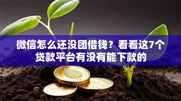微信怎么还没团借钱？看看这7个贷款平台有没有能下款的