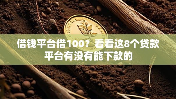 借钱平台借100？看看这8个贷款平台有没有能下款的