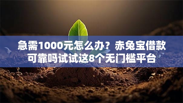 急需1000元怎么办？赤兔宝借款可靠吗试试这8个无门槛平台