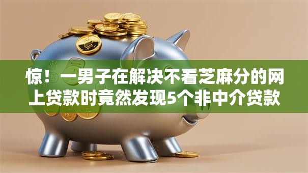 惊！一男子在解决不看芝麻分的网上贷款时竟然发现5个非中介贷款平台，事后分享了出来
