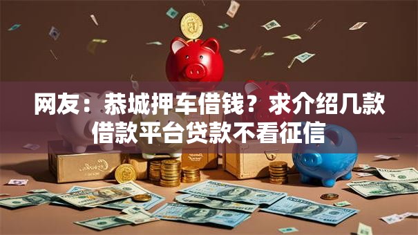 网友：恭城押车借钱？求介绍几款借款平台贷款不看征信