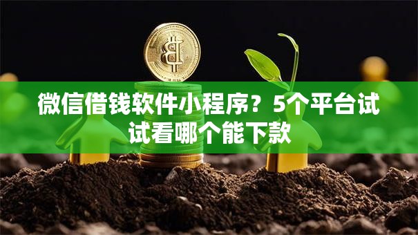 微信借钱软件小程序？5个平台试试看哪个能下款