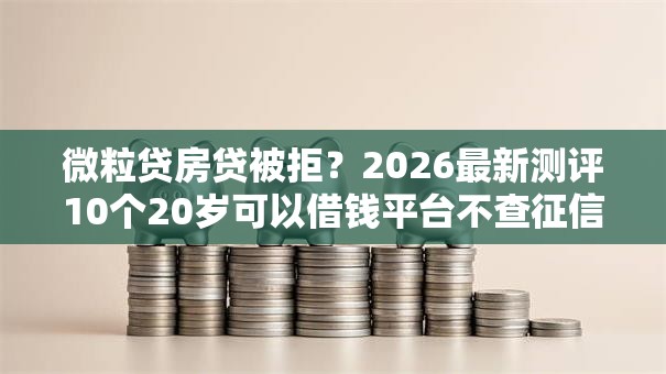 微粒贷房贷被拒？2026最新测评10个20岁可以借钱平台不查征信的软件