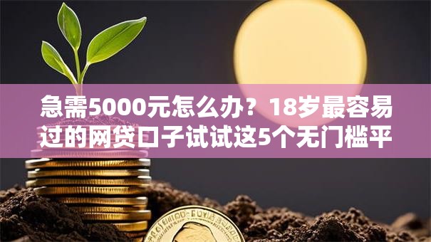 急需5000元怎么办？18岁最容易过的网贷口子试试这5个无门槛平台