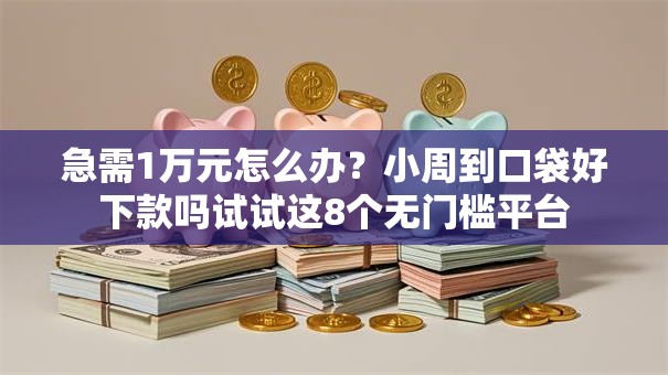 急需1万元怎么办？小周到口袋好下款吗试试这8个无门槛平台