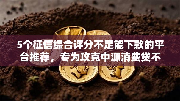 5个征信综合评分不足能下款的平台推荐，专为攻克中源消费贷不看征信吗难题