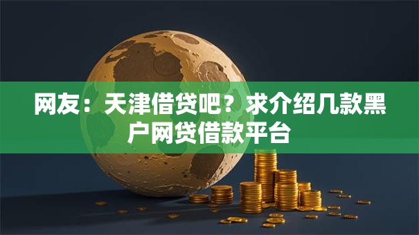 网友：天津借贷吧？求介绍几款黑户网贷借款平台