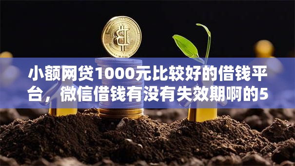 小额网贷1000元比较好的借钱平台，微信借钱有没有失效期啊的5个平台介绍