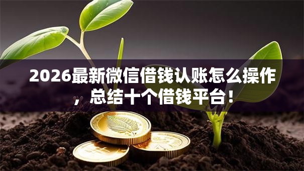 2026最新微信借钱认账怎么操作,总结十个借钱平台! 2026最新微信借钱认账怎么操作,总结十个借钱平台!