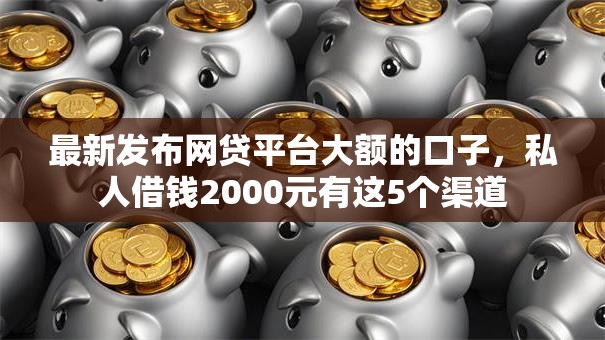 最新发布网贷平台大额的口子，私人借钱2000元有这5个渠道