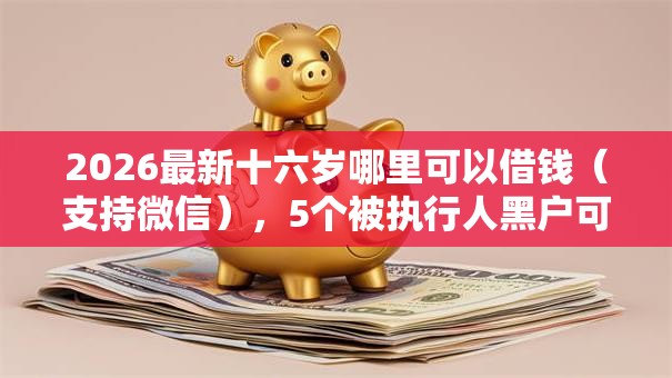 2026最新十六岁哪里可以借钱（支持微信），5个被执行人黑户可以申请网贷的平台无私分享
