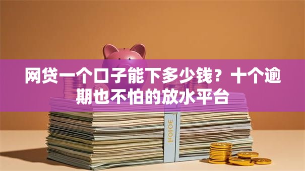 网贷一个口子能下多少钱？十个逾期也不怕的放水平台