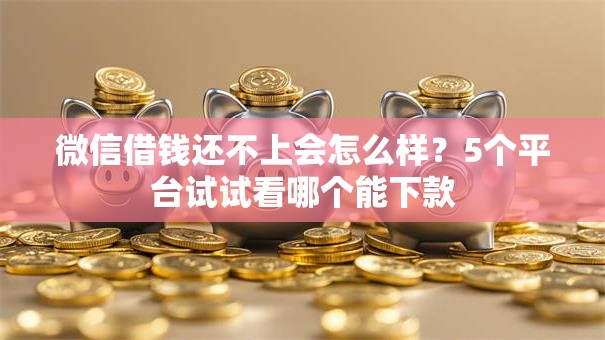 微信借钱还不上会怎么样？5个平台试试看哪个能下款